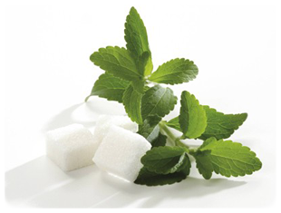 Stevia